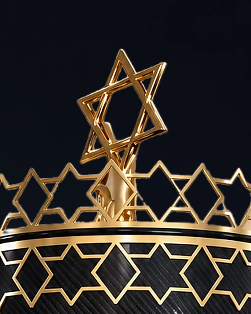 תקריב עטרת מגיני הדוד ומגן הדוד המתנשא בראש התיק